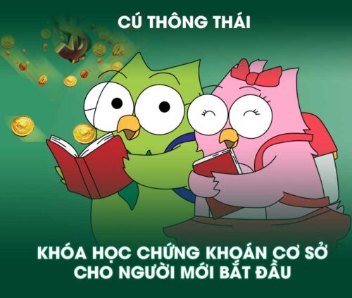 Khóa Học Chứng Khoán Cơ Sở Cho Người Mới Bắt Đầu – Cú Thông Thái