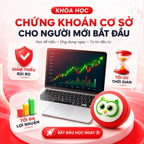 Khóa Học Chứng Khoán Cơ Sở Cho Người Mới Bắt Đầu – Cú Thông Thái
