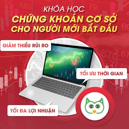 Khóa Học Chứng Khoán Cơ Sở Cho Người Mới Bắt Đầu – Cú Thông Thái