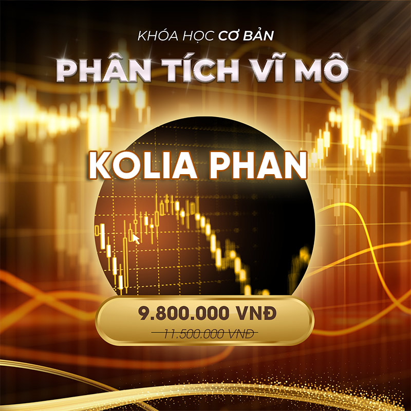 Khóa Học Phân Tích Vĩ Mô Kolia Phan - Khoá Học Đầu Tư Cổ Phiếu Hay
