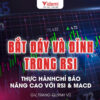 Khóa Học Thực hành Chỉ Báo Nâng Cao 2023 GV Trang Quỳnh Vũ DHE
