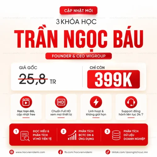 Combo 3 Khóa Học Phân Tích Vĩ Mô & Doanh Nghiệp Chuyên Sâu Trần Ngọc Báu