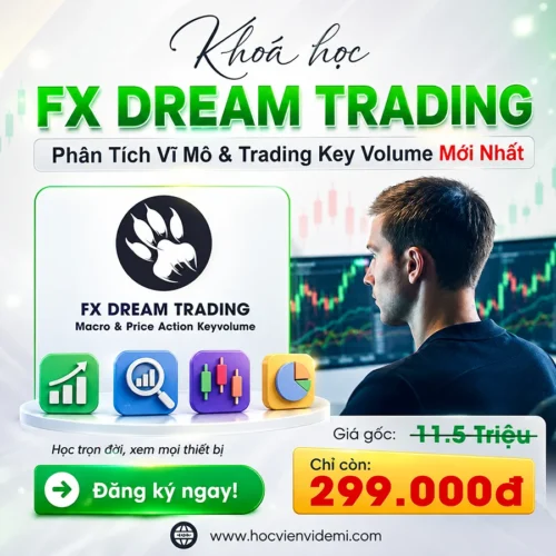 Khóa Học Phân Tích Vĩ Mô & Trading Key Volume Chuẩn Gốc FX Dream Trading