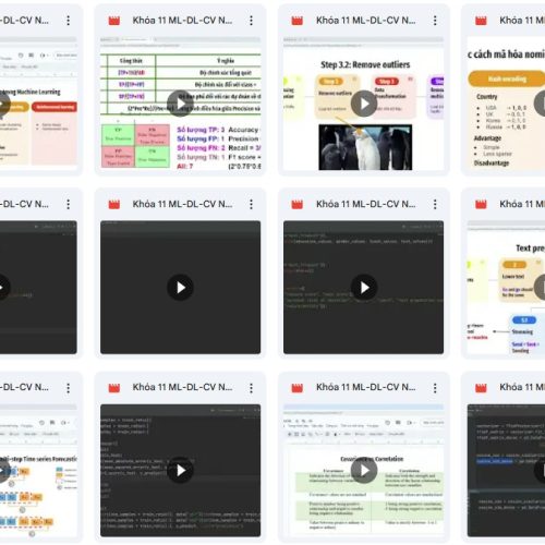 Khóa Học Data Science Machine Learning Course Python Việt Nguyễn AI