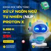 Khóa Học Nền Tảng Xử Lý Ngôn Ngữ Tự Nhiên (NLP) ProtonX