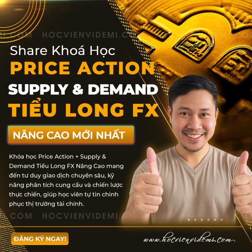 Share Khóa Học Price Action Supply & Demand Tiểu Long FX Nâng Cao