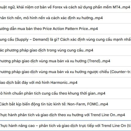 Khóa Học Price Action Supply & Demand Tiểu Long FX Nâng Cao