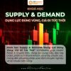 Khóa học Supply & Demand Dụng Lực Đúng Vùng, Giá Đi Tức Thời VnRebates