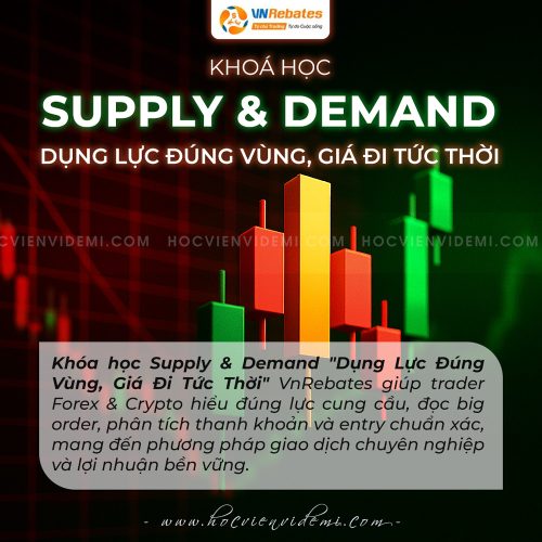 Khóa học Supply & Demand Dụng Lực Đúng Vùng, Giá Đi Tức Thời VnRebates