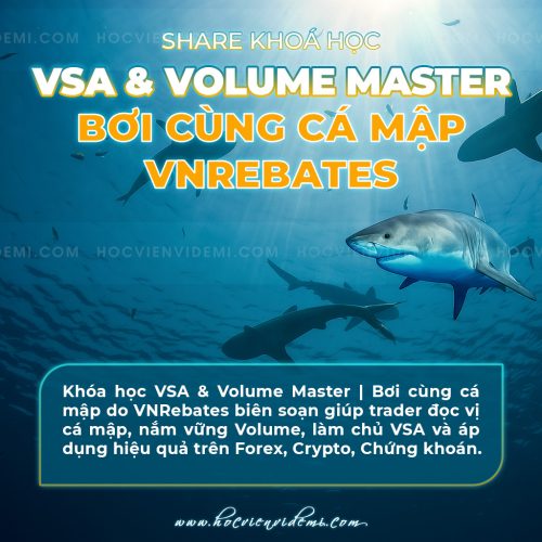 Khóa học VSA & Volume Master - Bơi cùng cá mập VNRebates