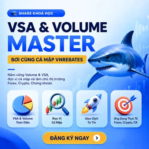 Khóa học VSA & Volume Master - Bơi cùng cá mập VNRebates