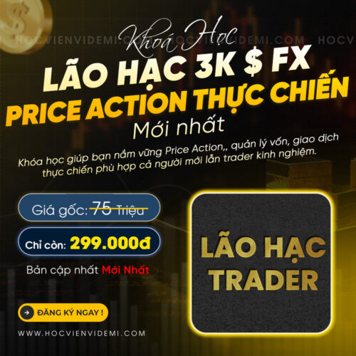 Khóa Học Lão Hạc 3K FX Price Action Thực Chiến Mới Nhất