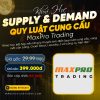 Khóa Học Supply & Demand | Quy Luật Cung Cầu MaxPro Trading